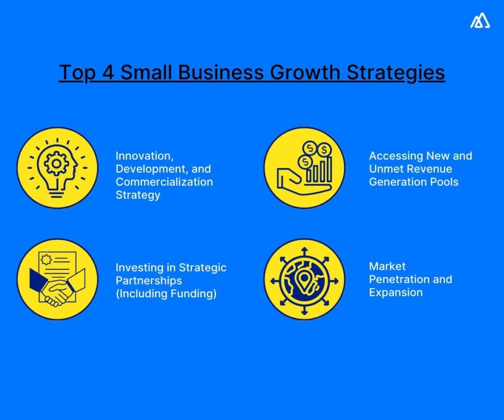 Conquering the Climb: Powerful Growth Strategies for Small Businesses ...